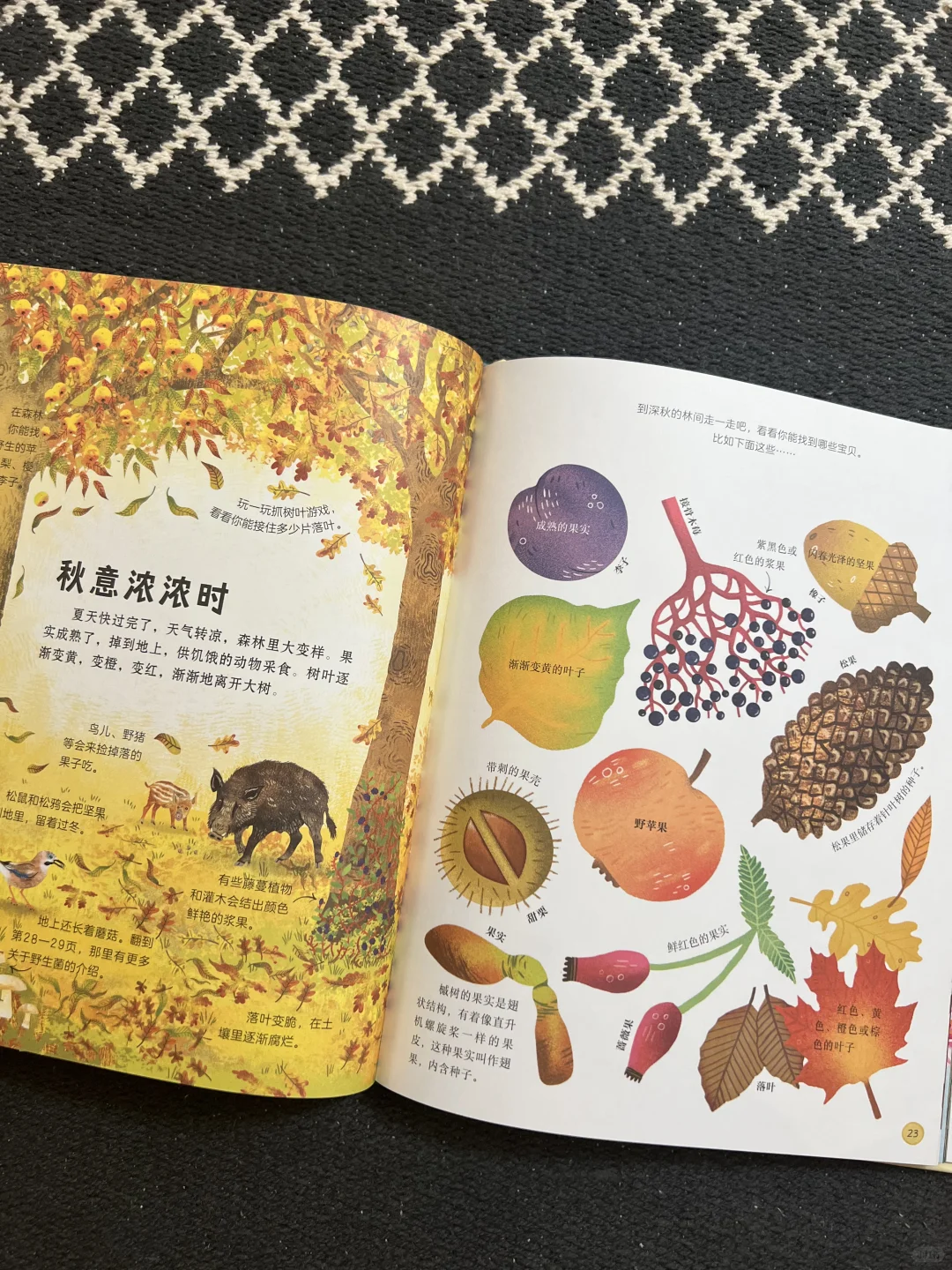 5岁小书虫的上周阅读书单📚