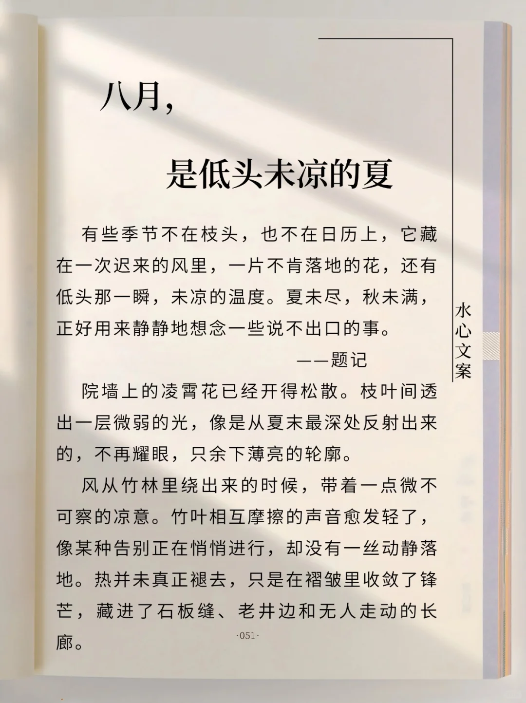 原创散文‖八月，是低头未凉的夏