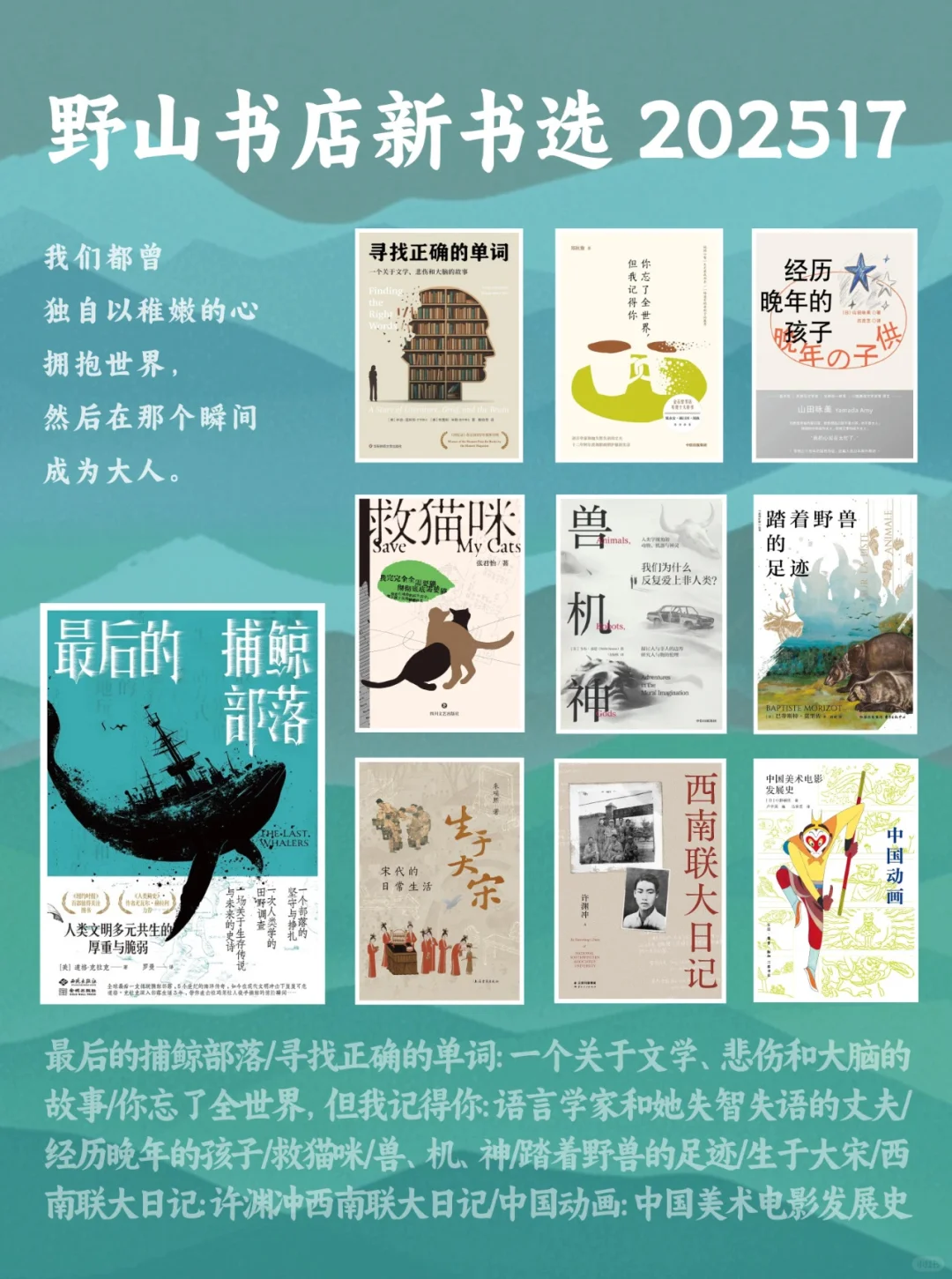 这个夏天，书店新上架的70本新书