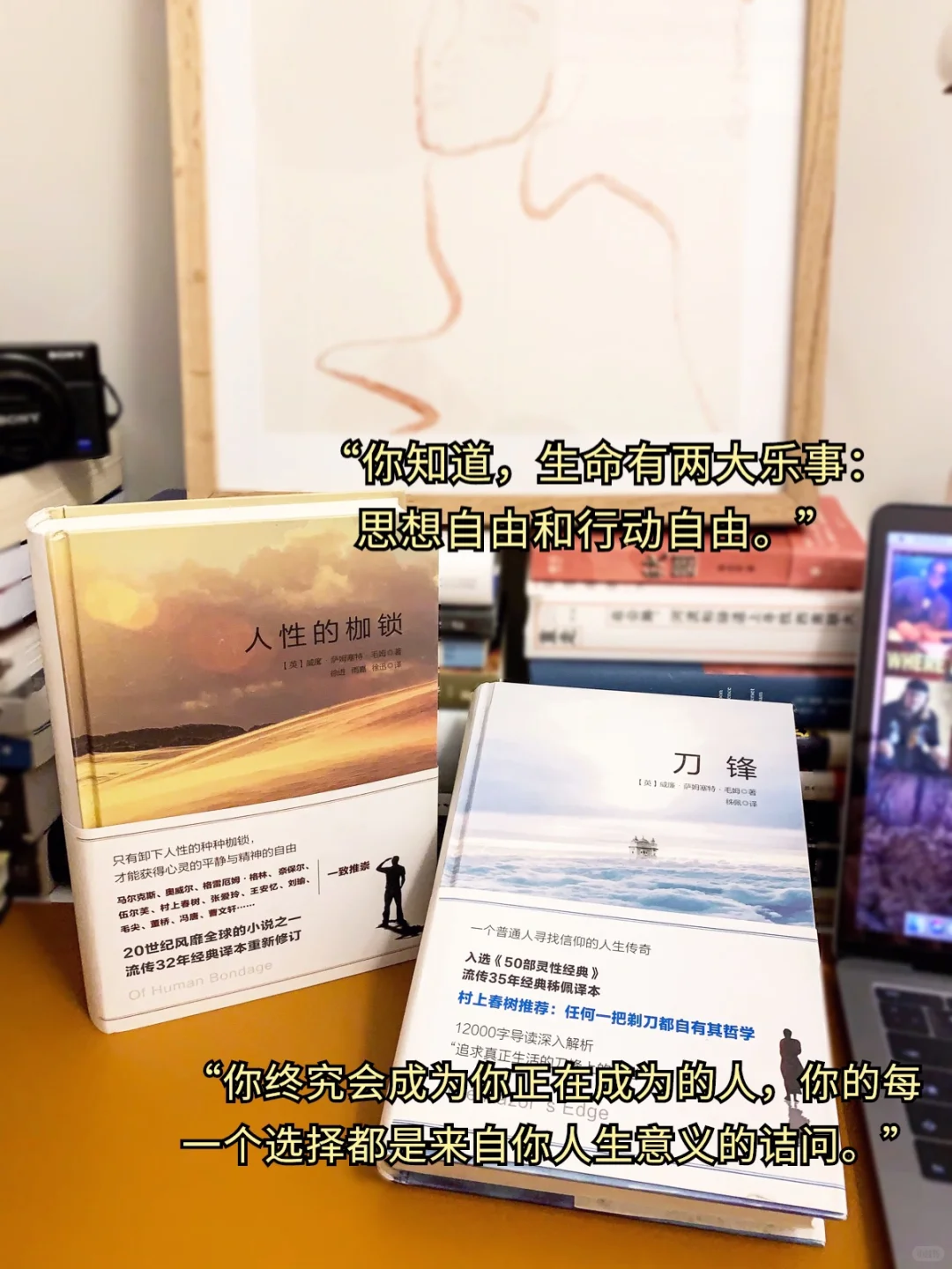 书单|请大数据把我推给爱读文学的姐妹
