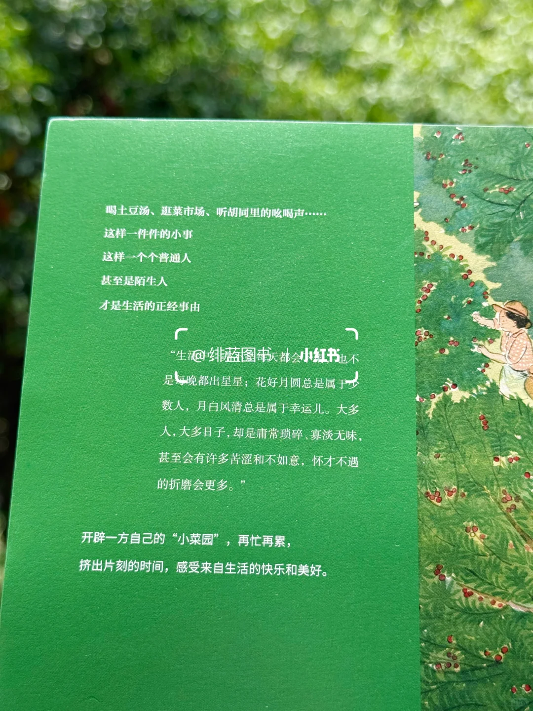 好喜欢这个封面啊，一整个被治愈了……