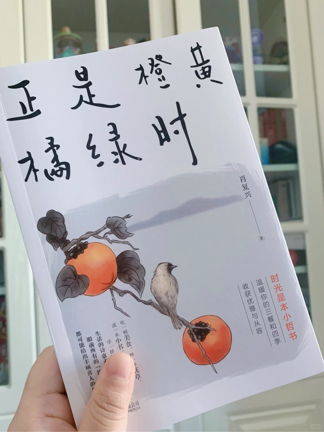 快乐时读书，烦闷时读书，被这本书一整个治愈