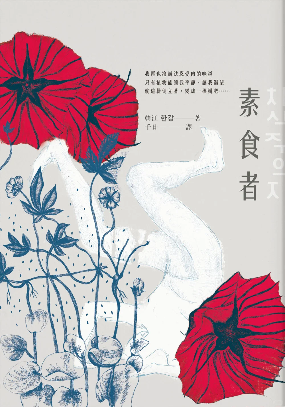 诺贝尔文学奖得主韩江作品合集素食者繁体版