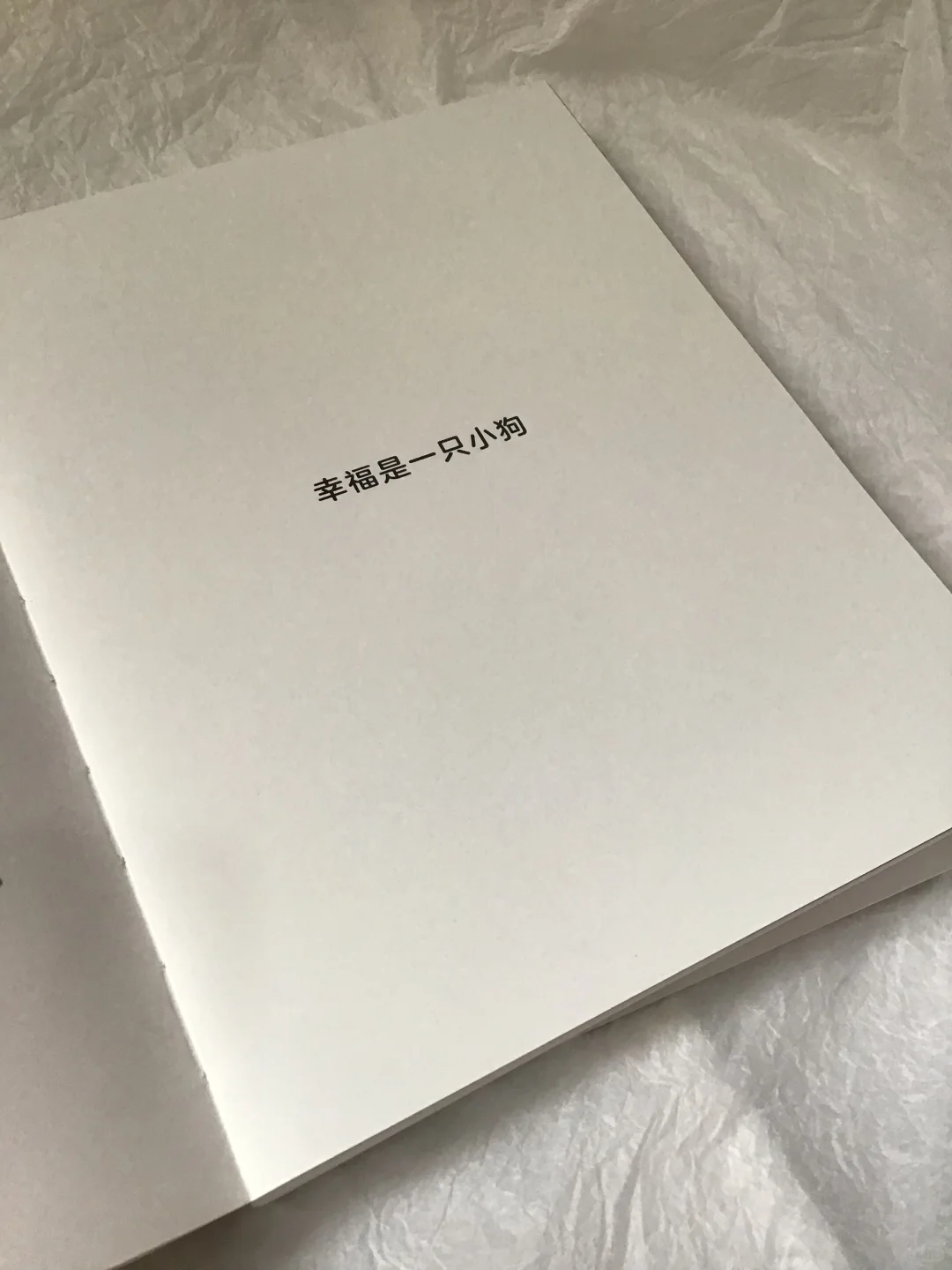 七夕礼物! 🥰没有谁能拒绝这么可爱的小狗吧