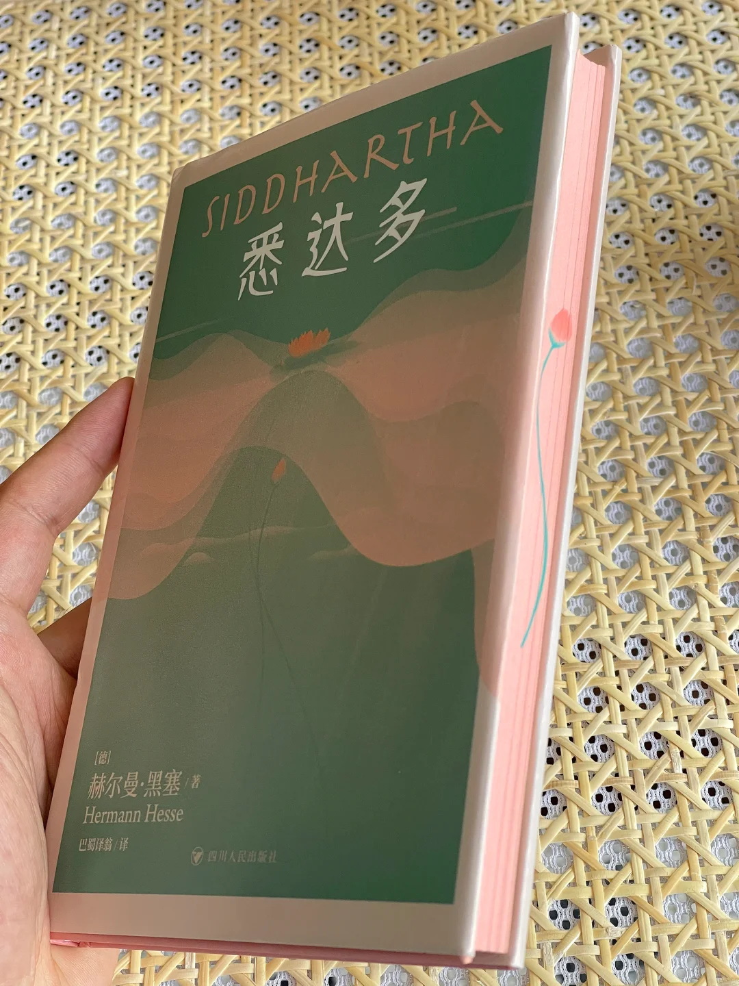 超绝性价比！《悉达多》刷边版 1⃣️0⃣️.9⃣️🥰