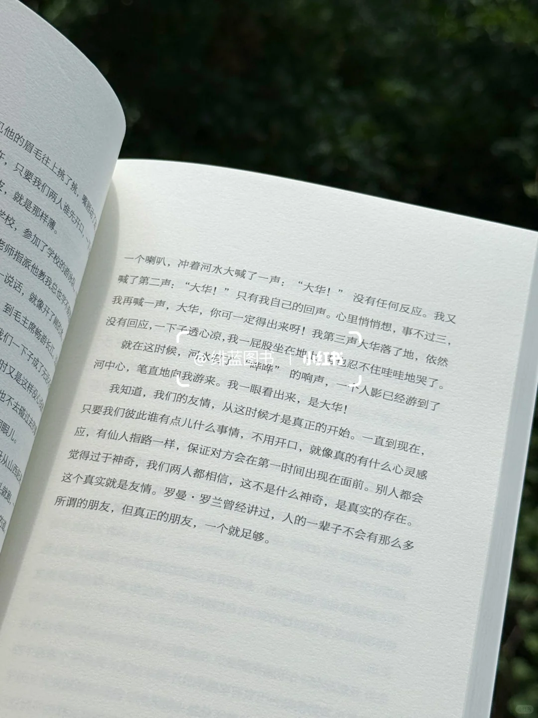 好喜欢这个封面啊，一整个被治愈了……