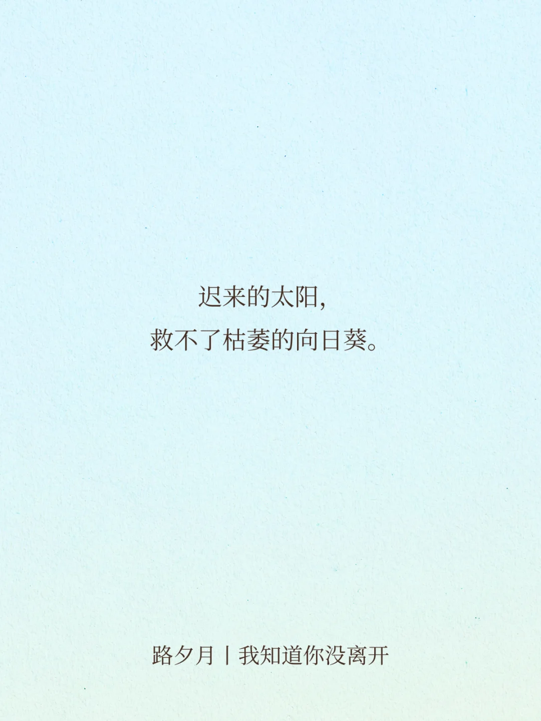 宿命感拉满的顶级文笔