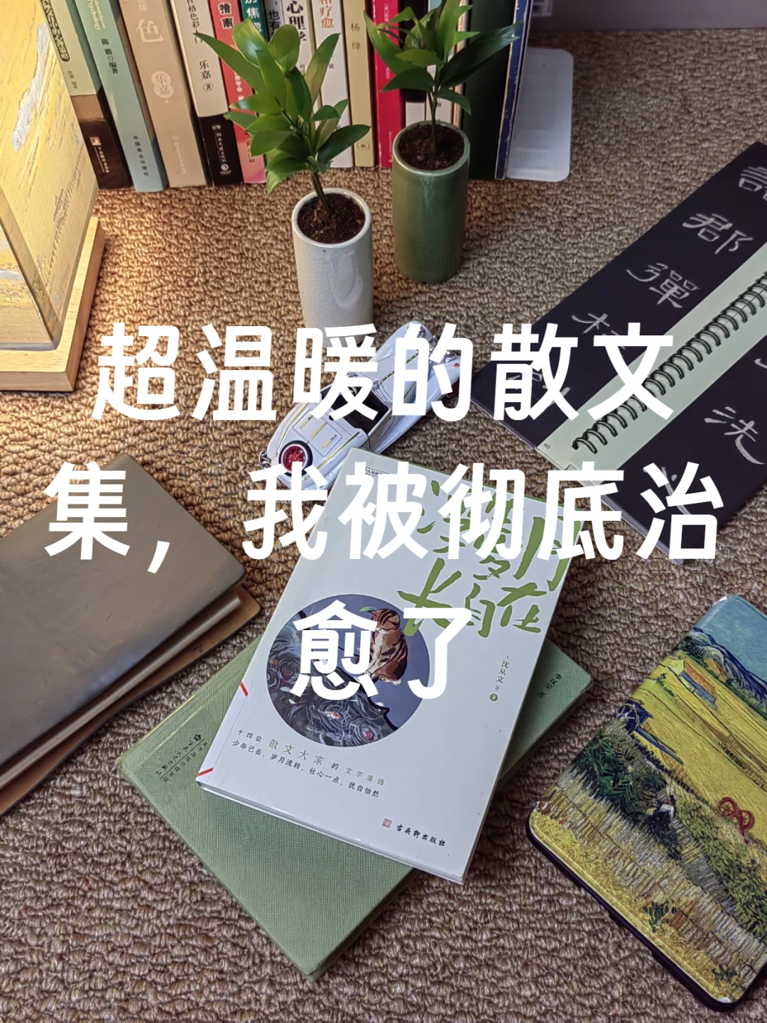 妈耶！刚发现这本超温暖治愈的散文集 !☀️