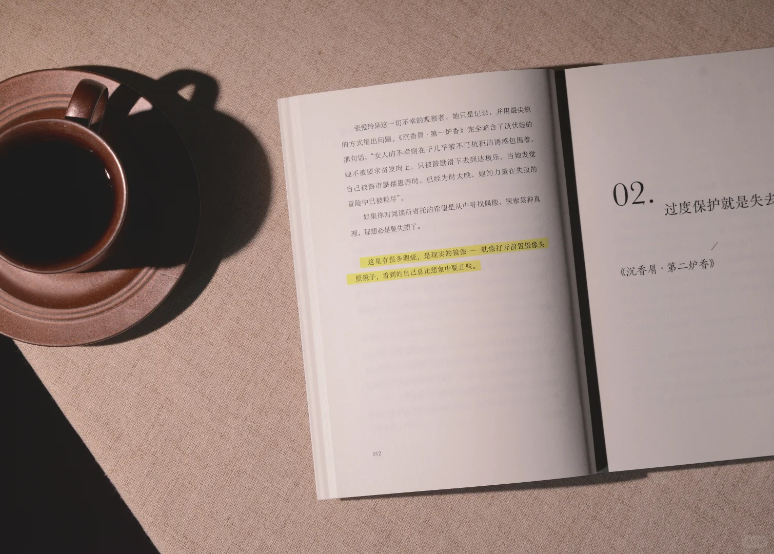 超爱的博主“这个月”新书❗——《照月记》