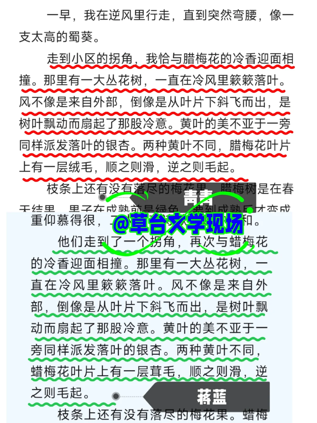 蒋蓝与青青的异曲同工之妙及其“一鱼两吃”