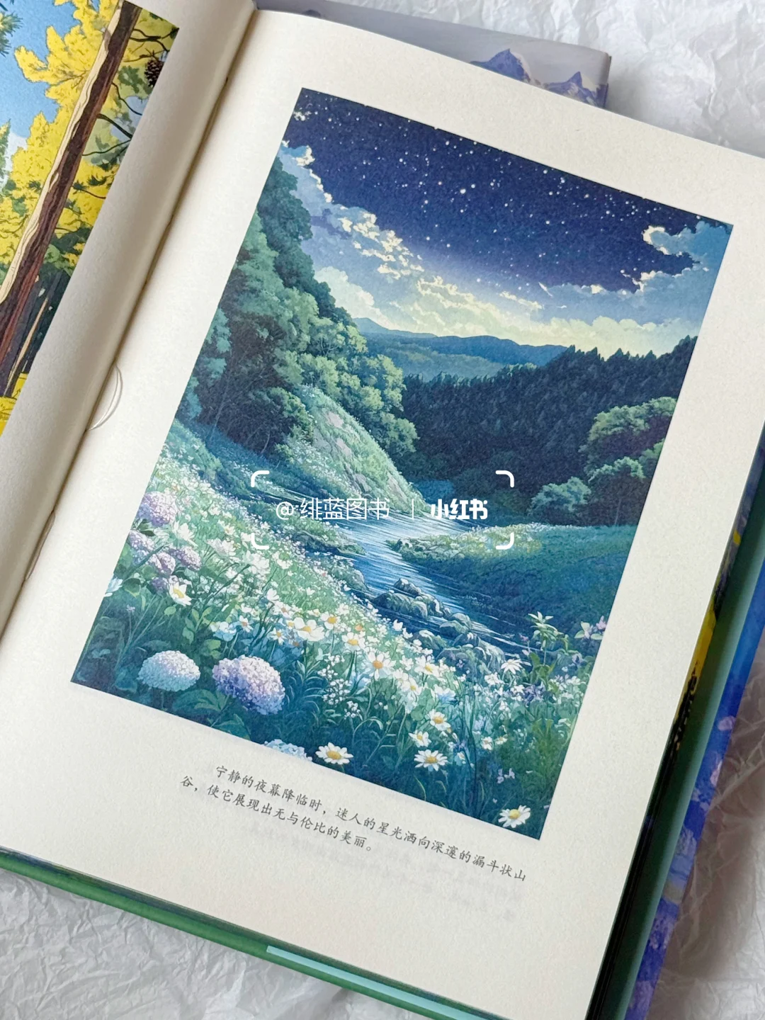 这本书真的好适合送给需要放松的自己！
