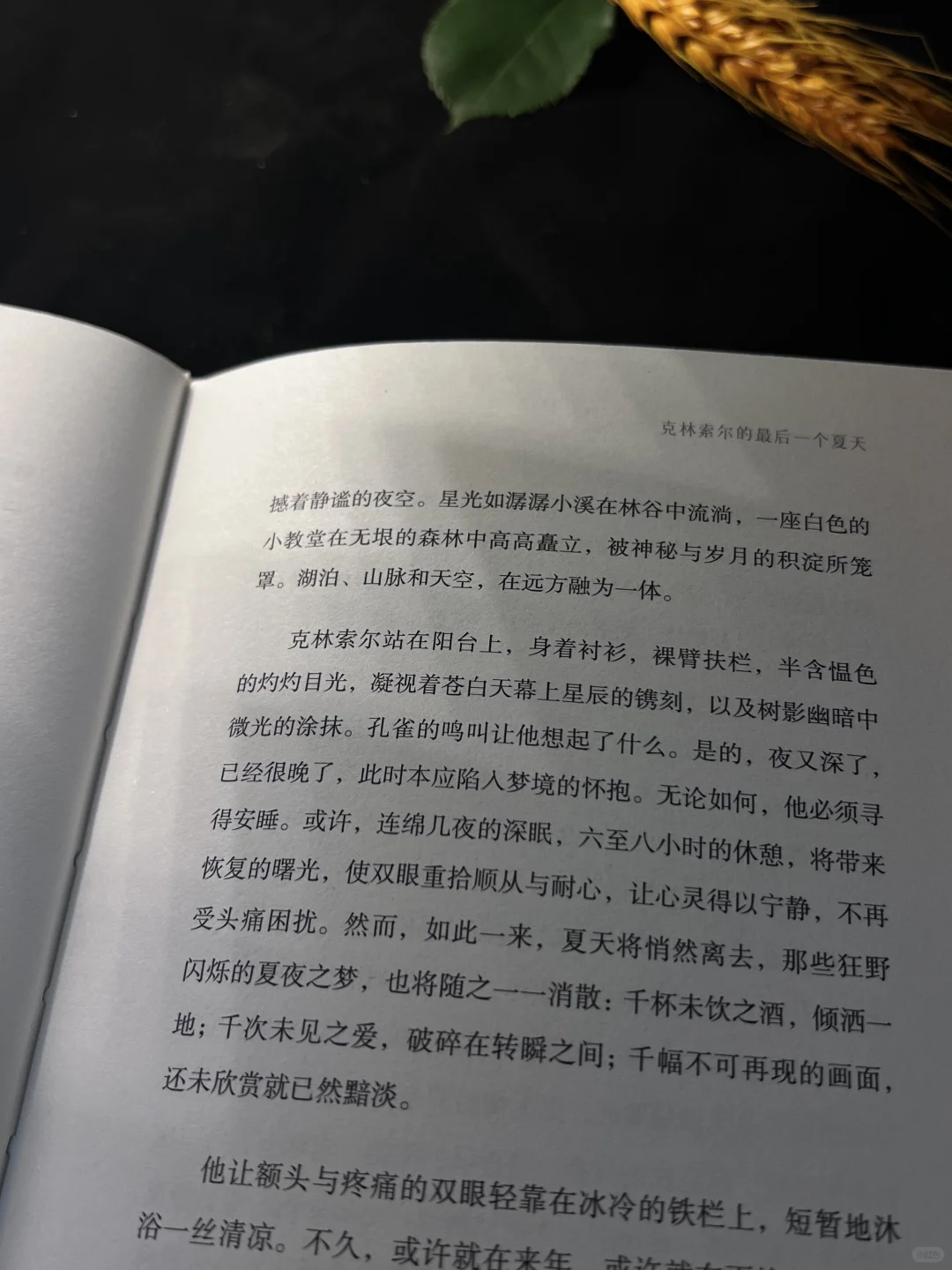 19块！能拿下诺奖得主的精装书还是刷边版⁉️