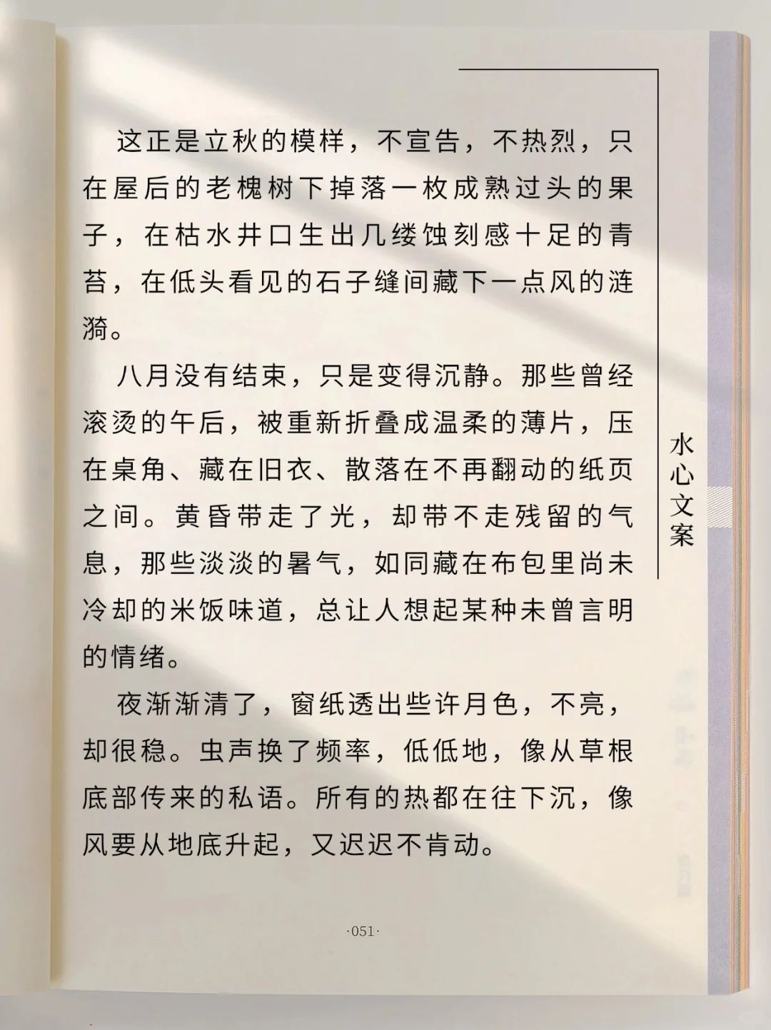 原创散文‖八月，是低头未凉的夏