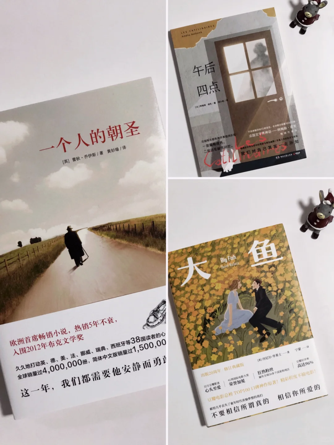 新书开箱📚女生自我提升，温暖治愈必备书单