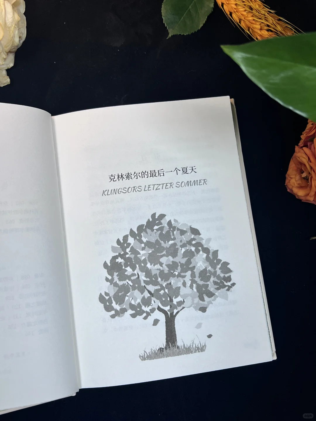 19块！能拿下诺奖得主的精装书还是刷边版⁉️