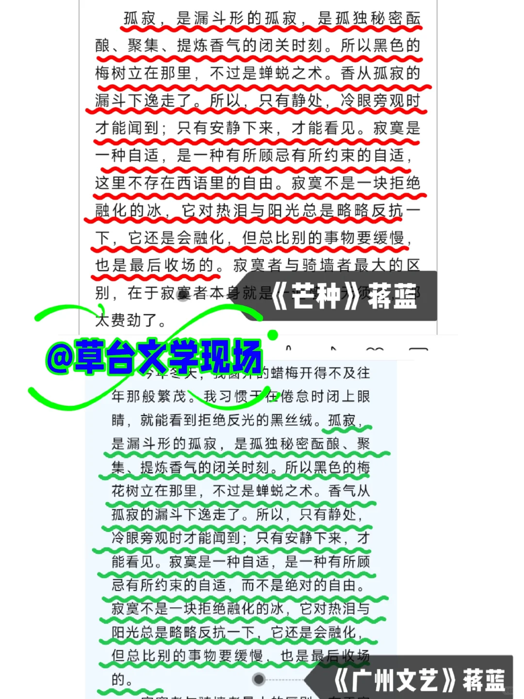 蒋蓝与青青的异曲同工之妙及其“一鱼两吃”