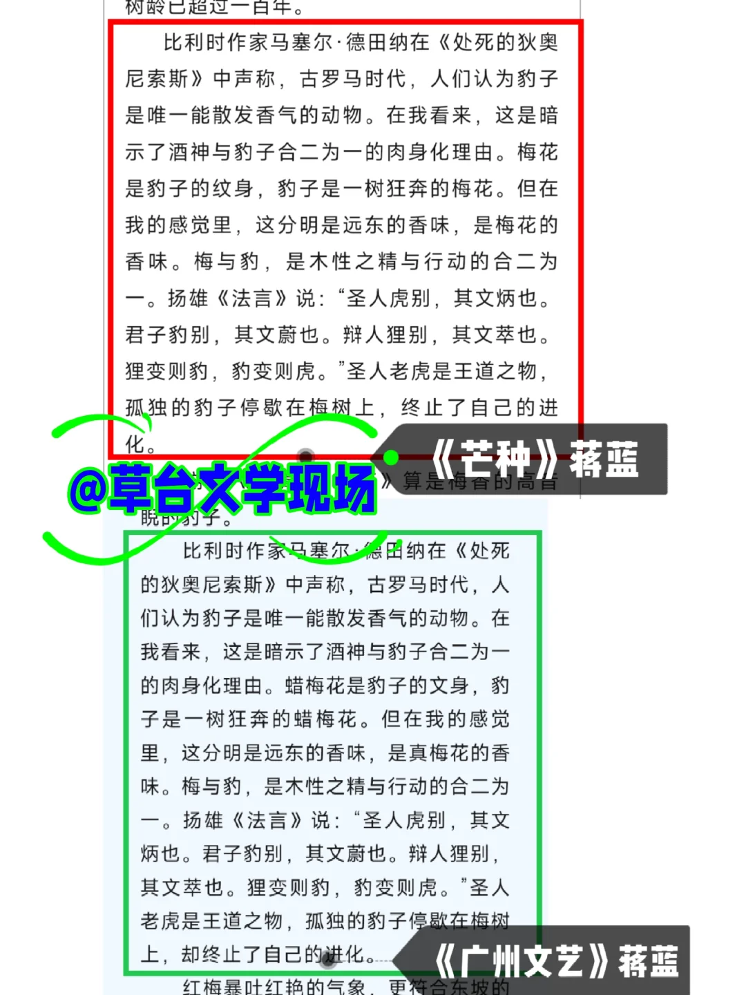 蒋蓝与青青的异曲同工之妙及其“一鱼两吃”