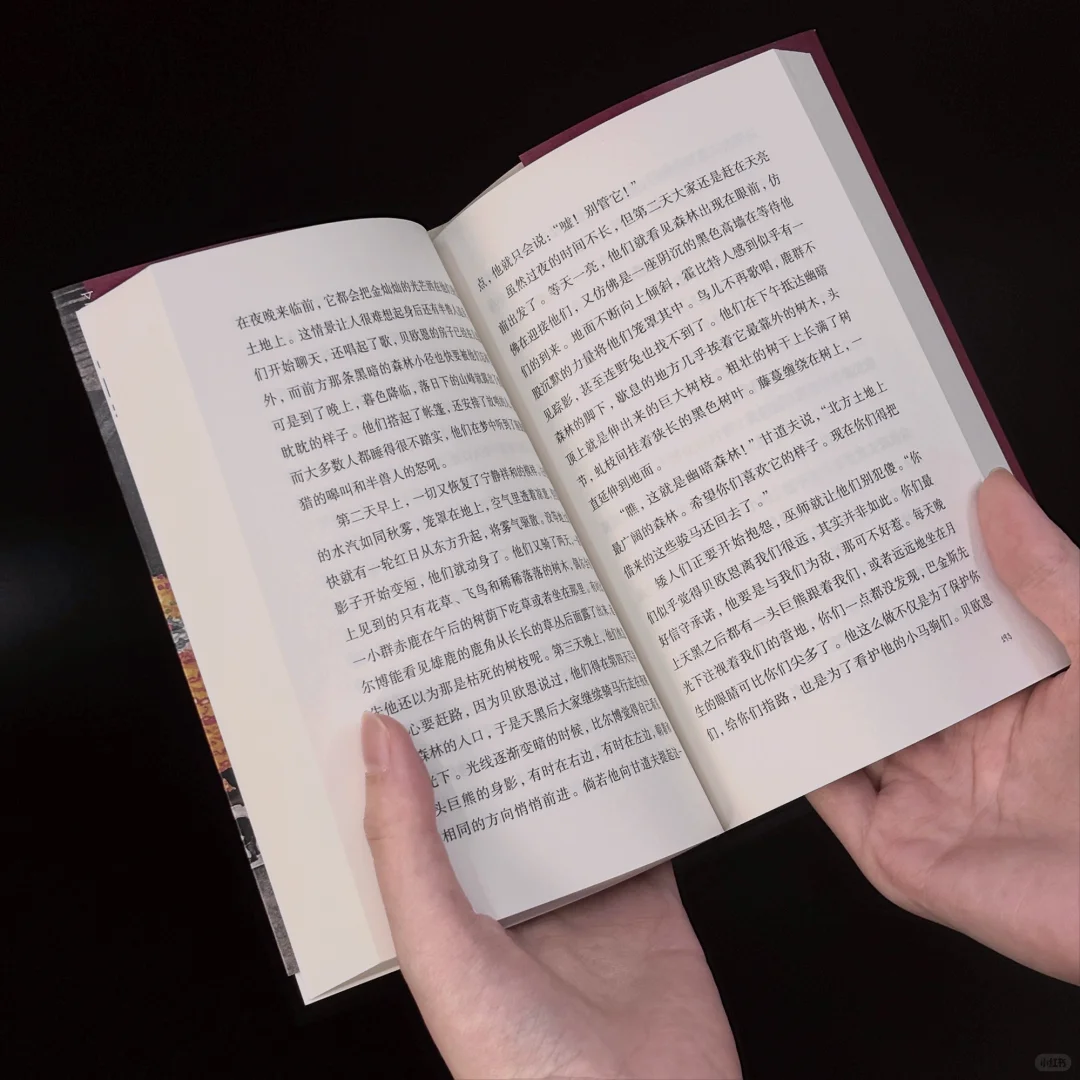 超可爱的🥳「霍比特人」口袋书📕