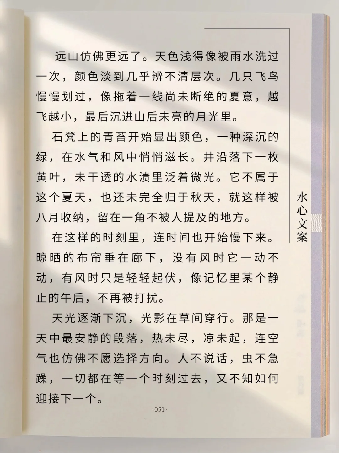 原创散文‖八月，是低头未凉的夏