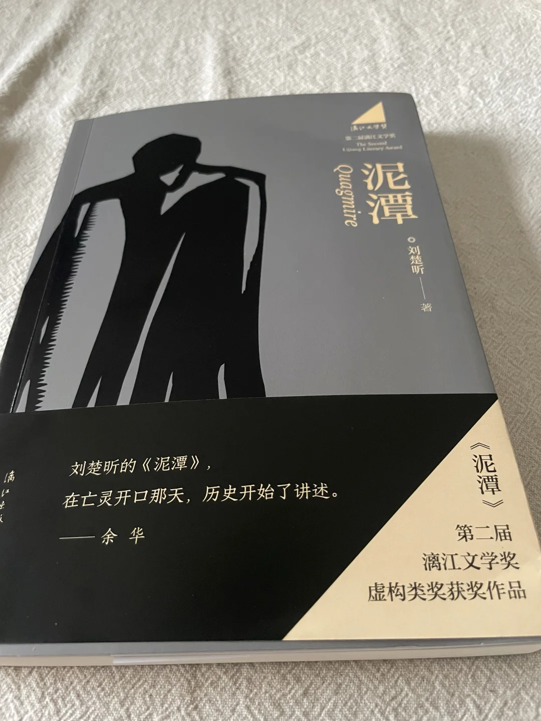 今天收到了刘楚昕的《泥潭》