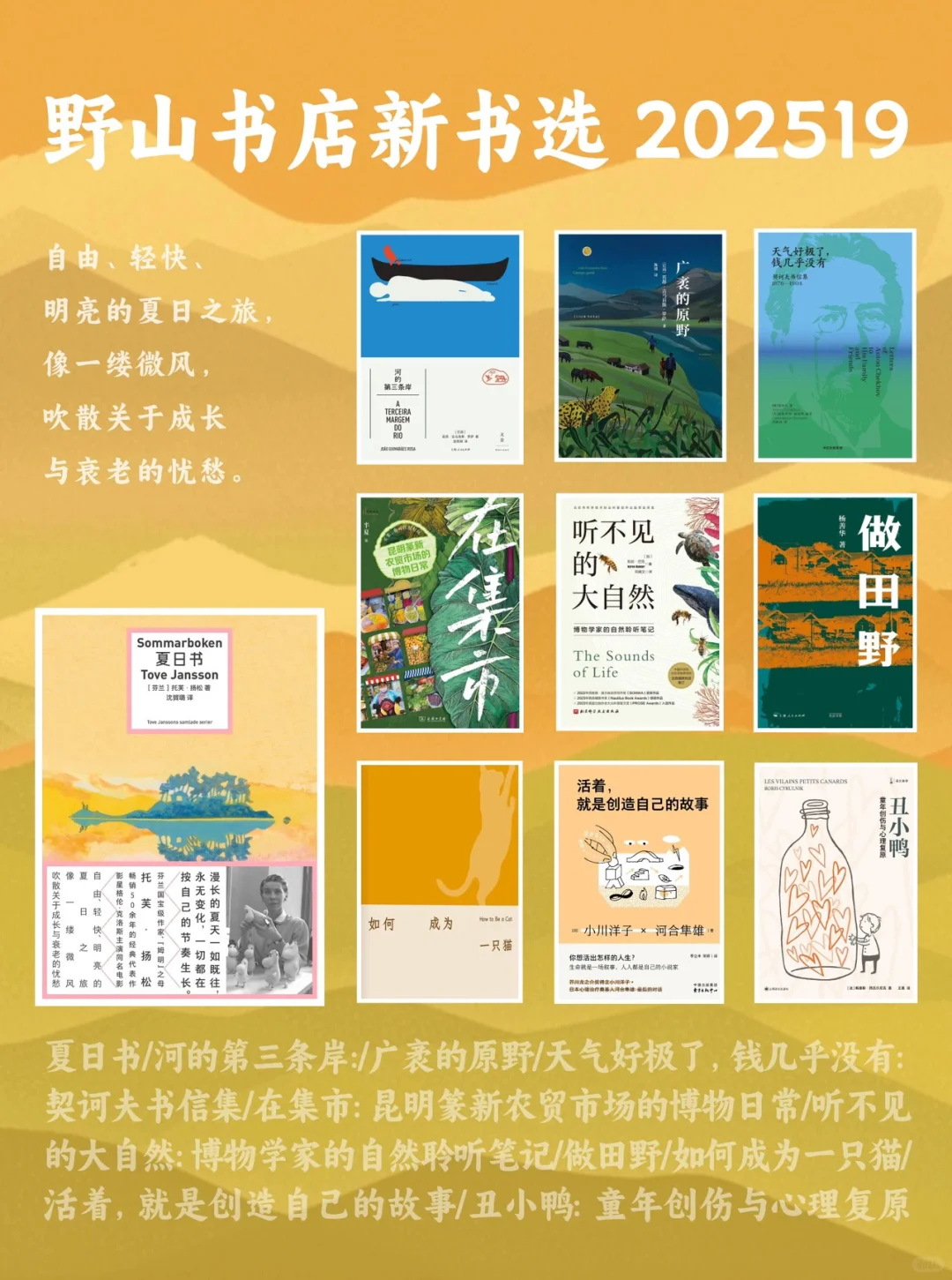 这个夏天，书店新上架的70本新书