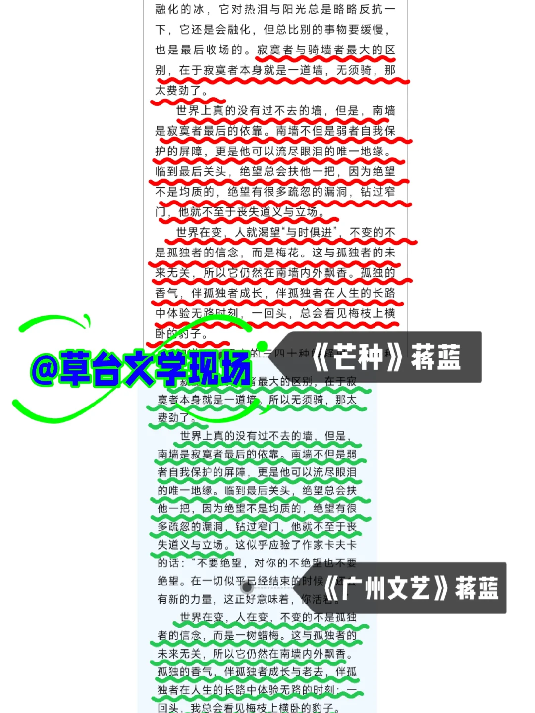 蒋蓝与青青的异曲同工之妙及其“一鱼两吃”