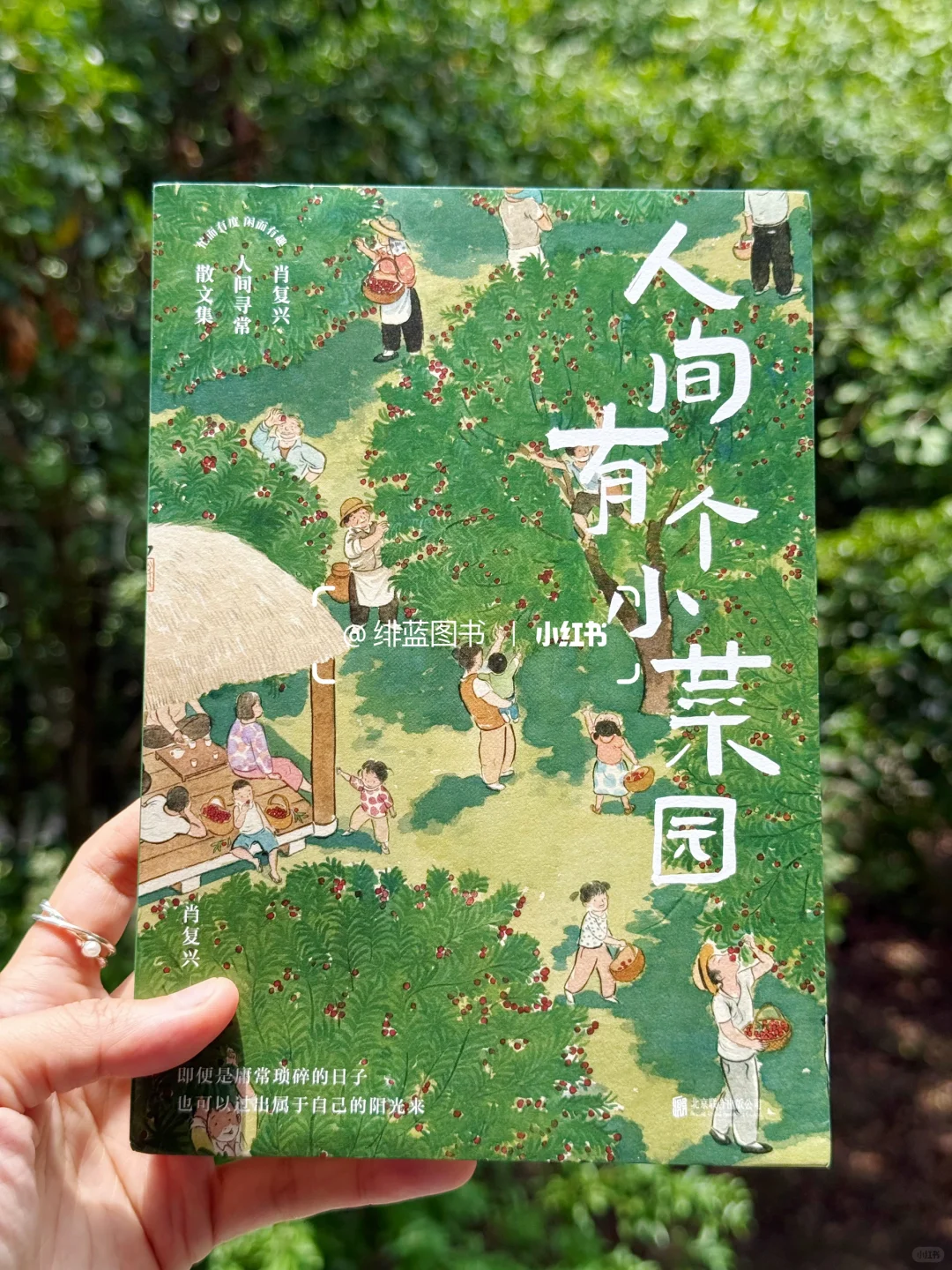 好喜欢这个封面啊，一整个被治愈了……