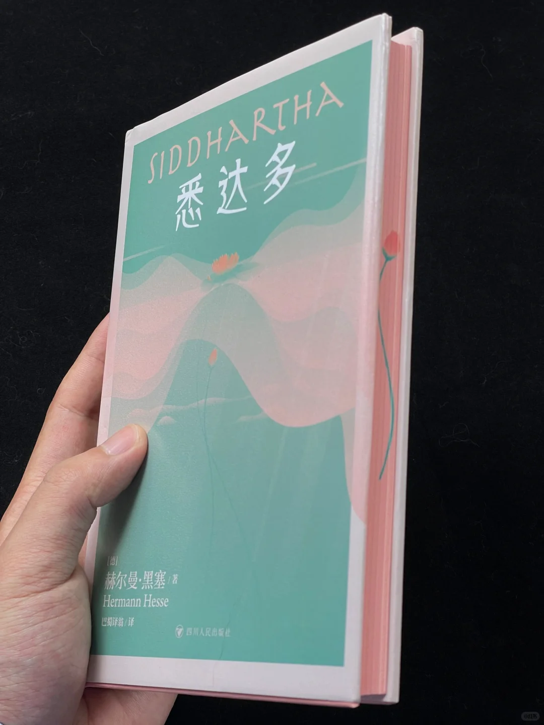 超绝性价比！《悉达多》刷边版 1⃣️0⃣️.9⃣️🥰