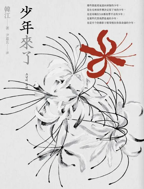 诺贝尔文学奖得主韩江作品合集素食者繁体版