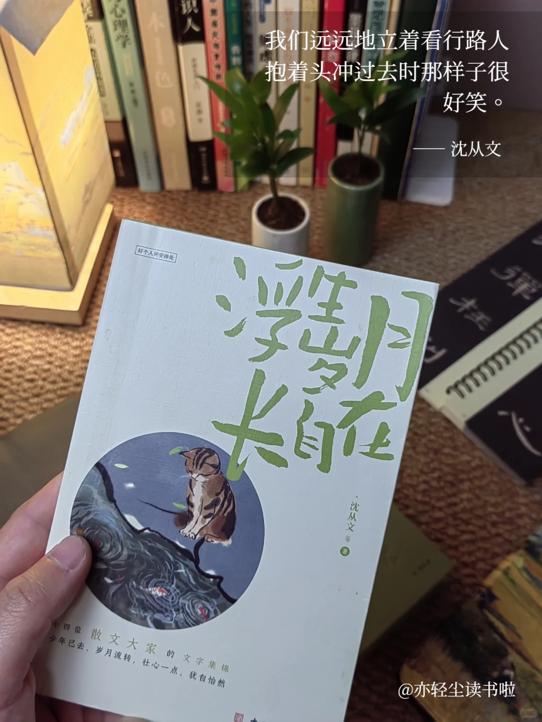 妈耶！刚发现这本超温暖治愈的散文集 !☀️
