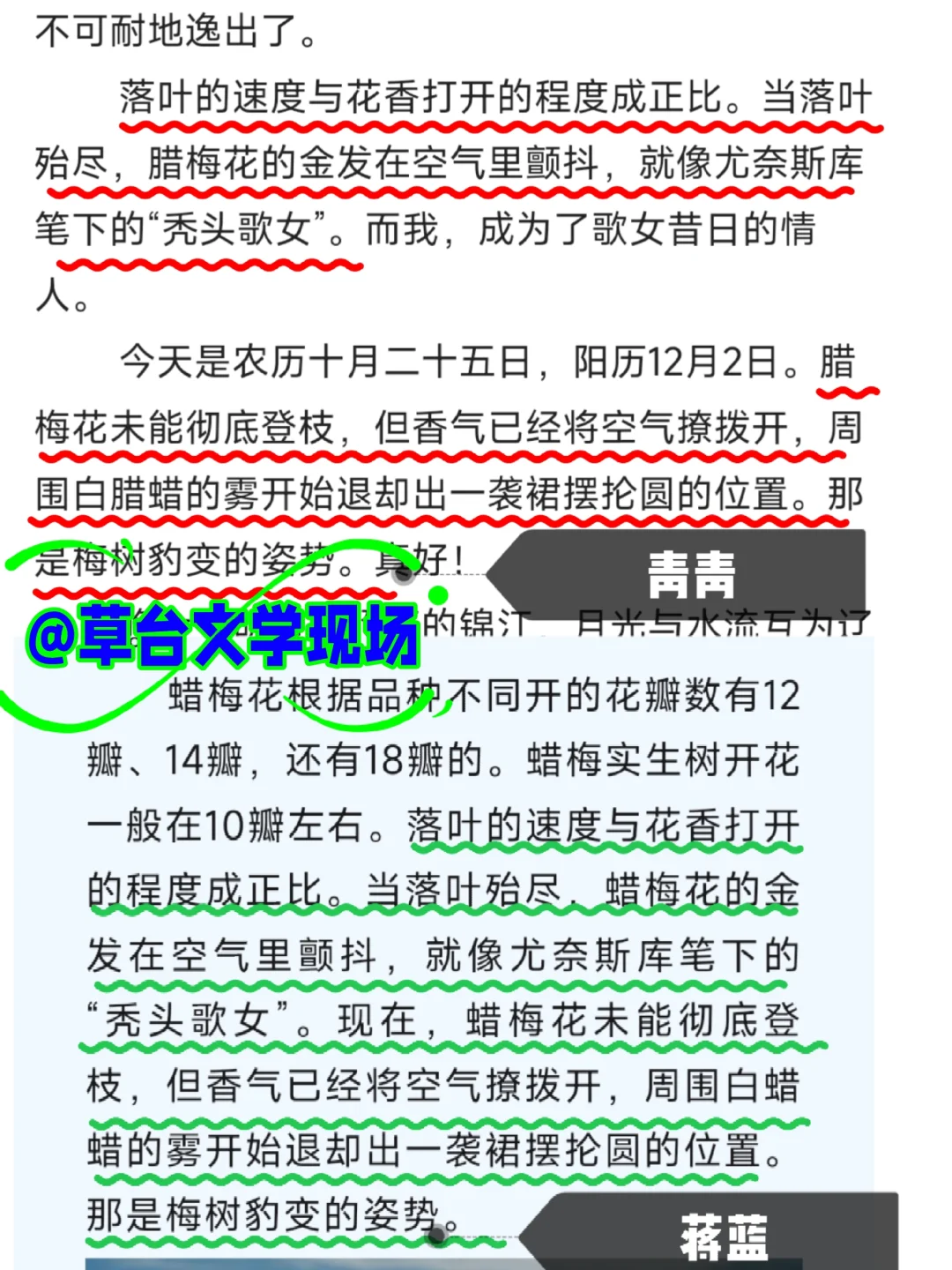 蒋蓝与青青的异曲同工之妙及其“一鱼两吃”