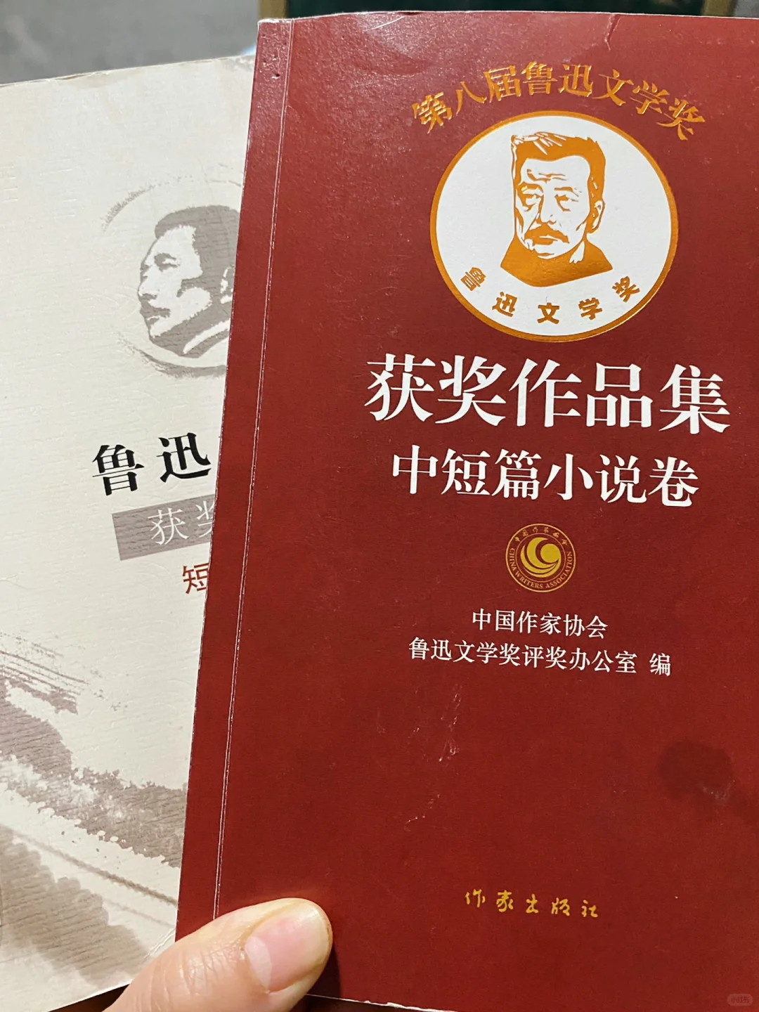 高考小说阅读素材库——鲁迅文学奖