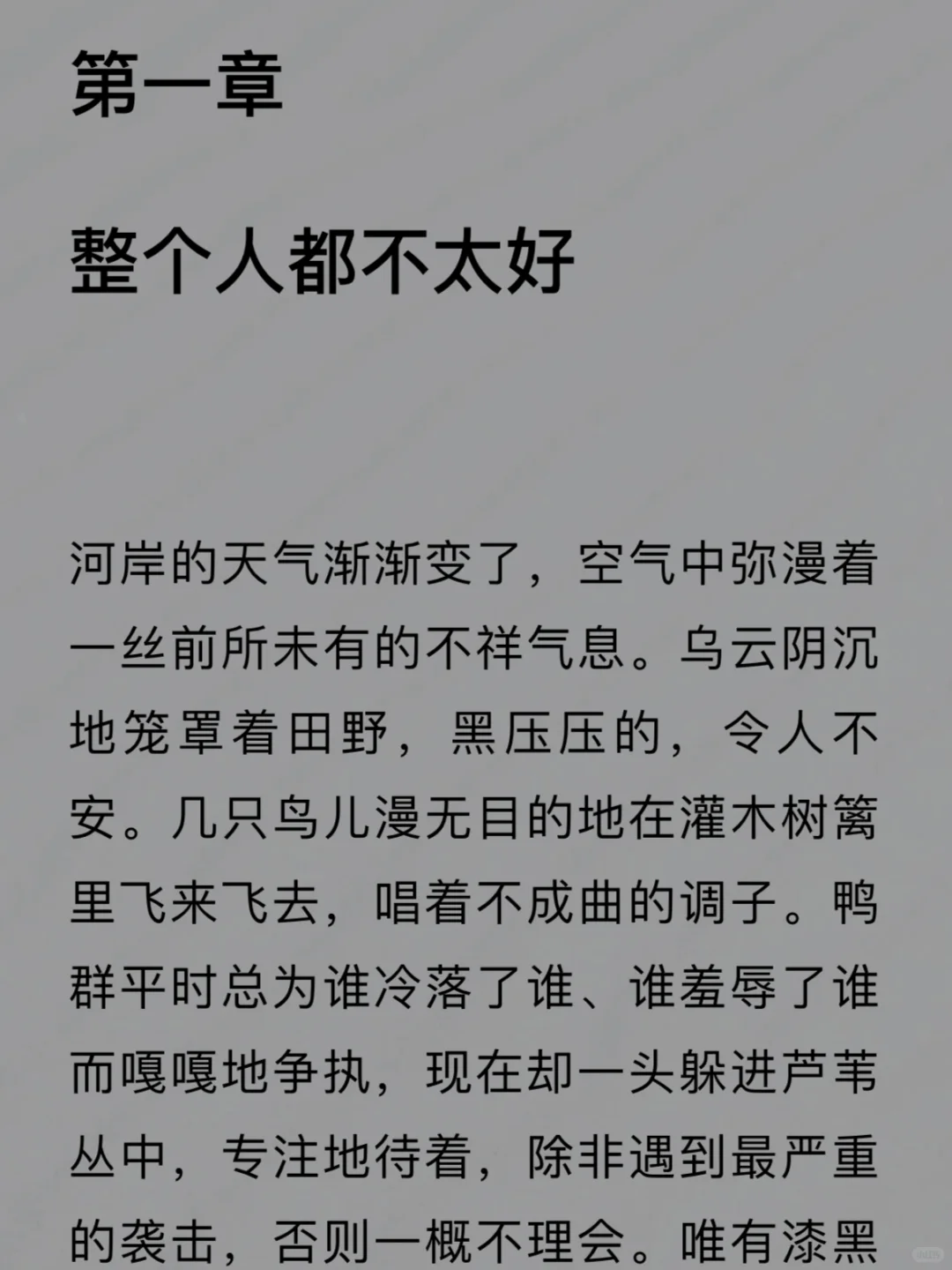 啊啊啊啊啊❗是电子书自由❗