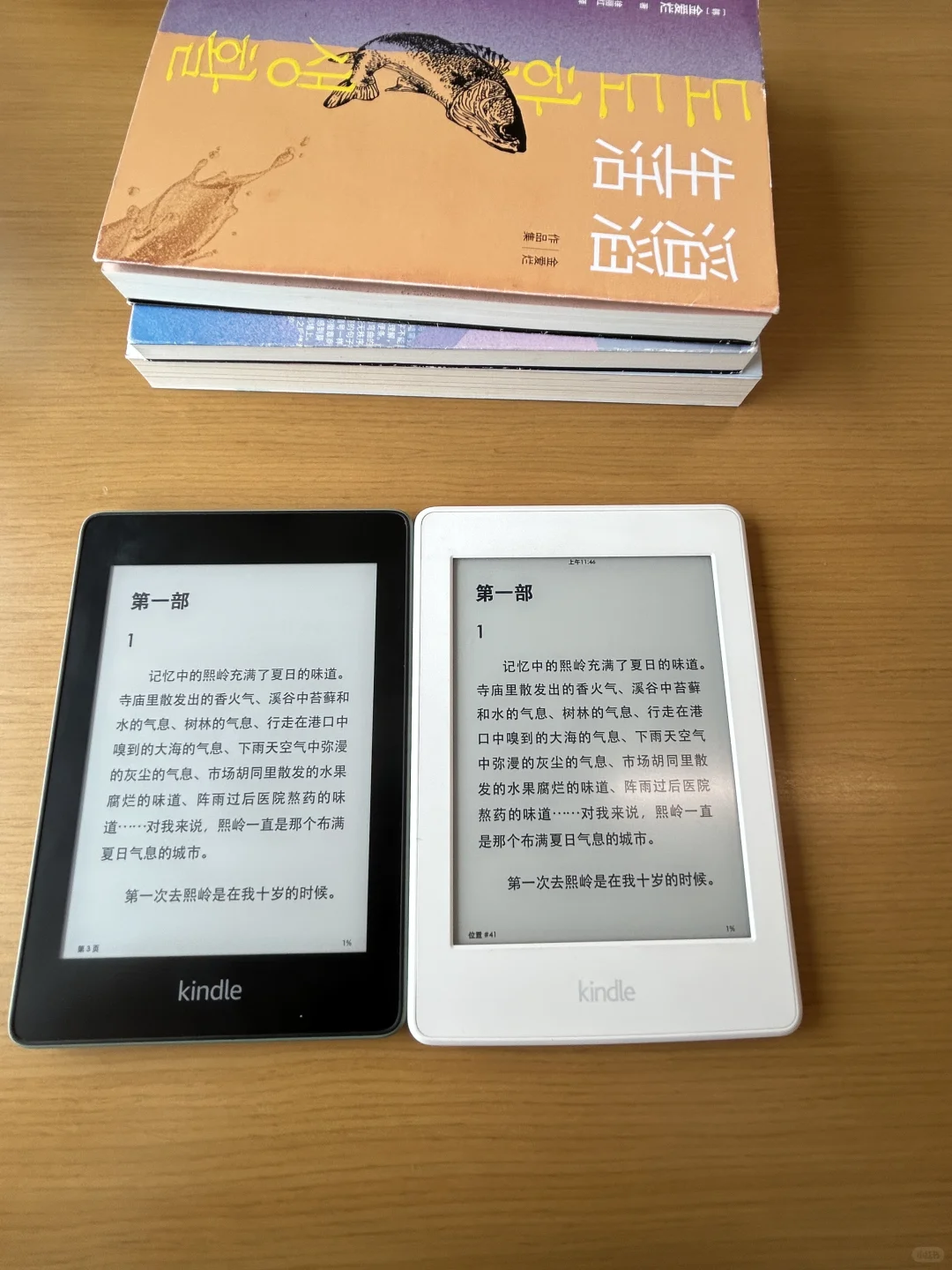 入门级Kindle对比📖 KPW3和4 怎么选