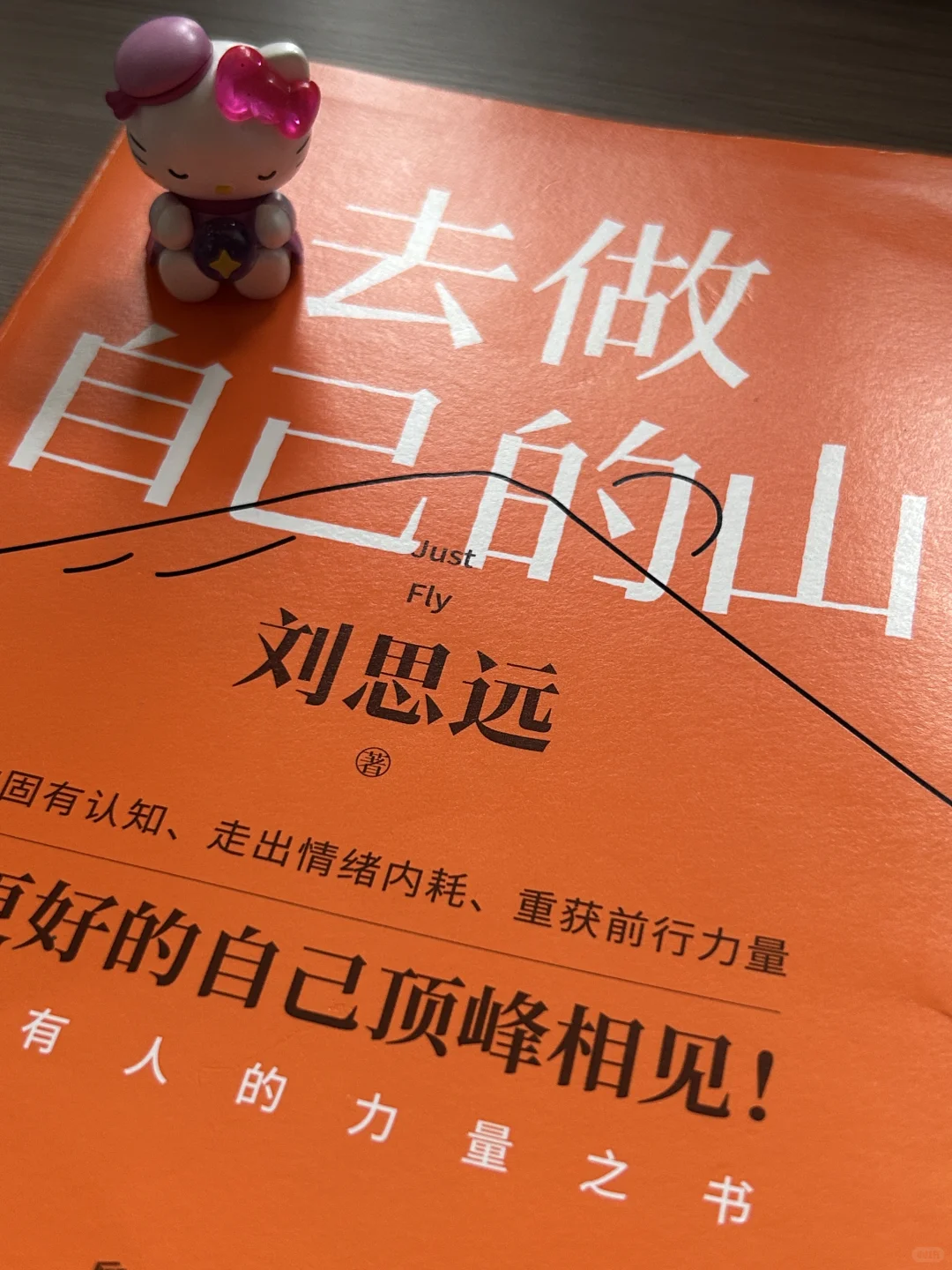 《去做自己的山 》pdf电子版免费分享