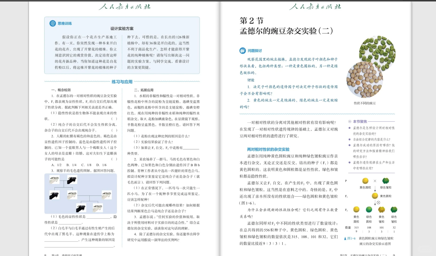 人教版官方电子课本