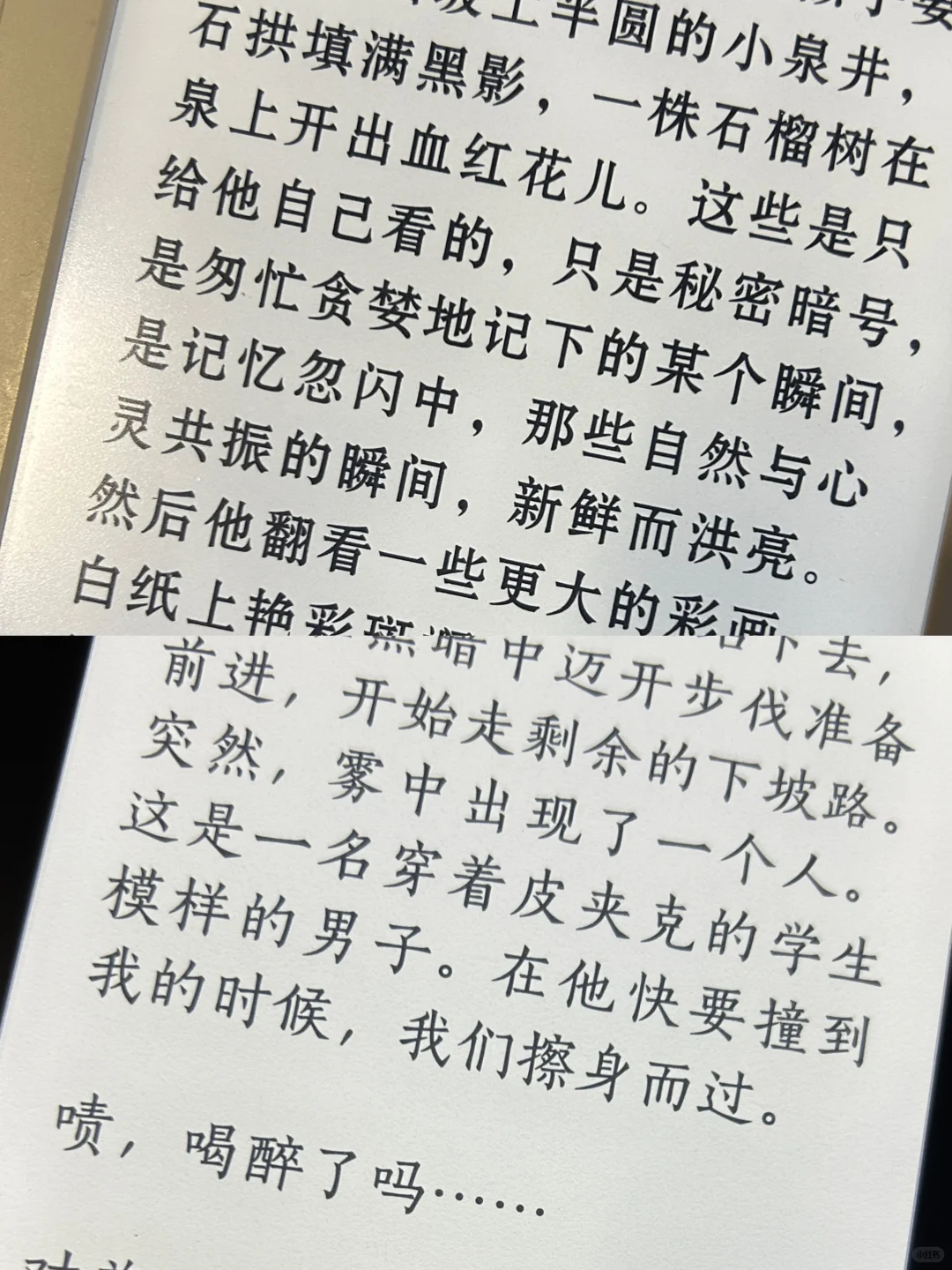 入门级Kindle对比📖 KPW3和4 怎么选