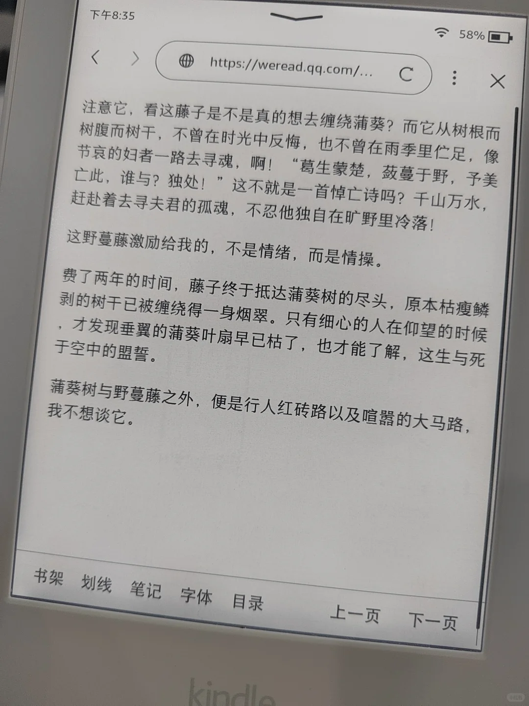 kindle kpw3 美丽