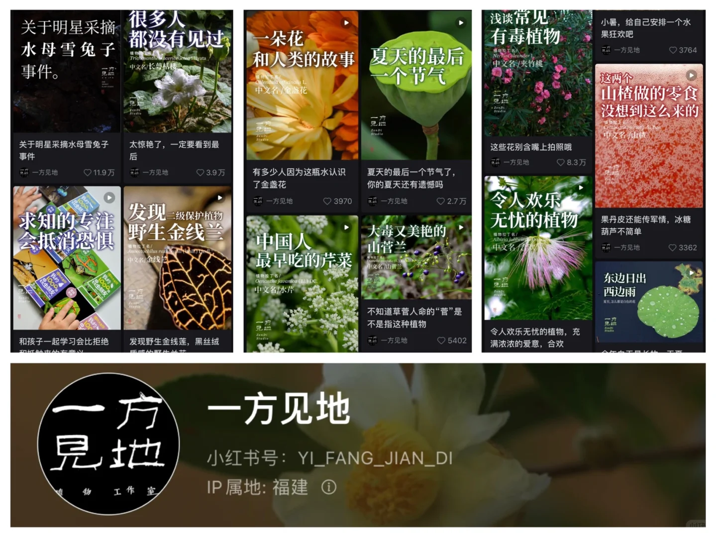 二升三暑假计划·适合孩子看的短视频