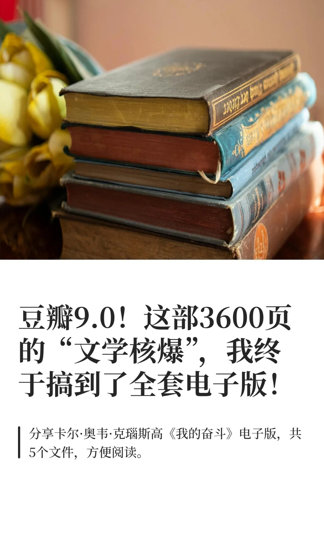 豆瓣9.0，文学核爆，电子版来啦