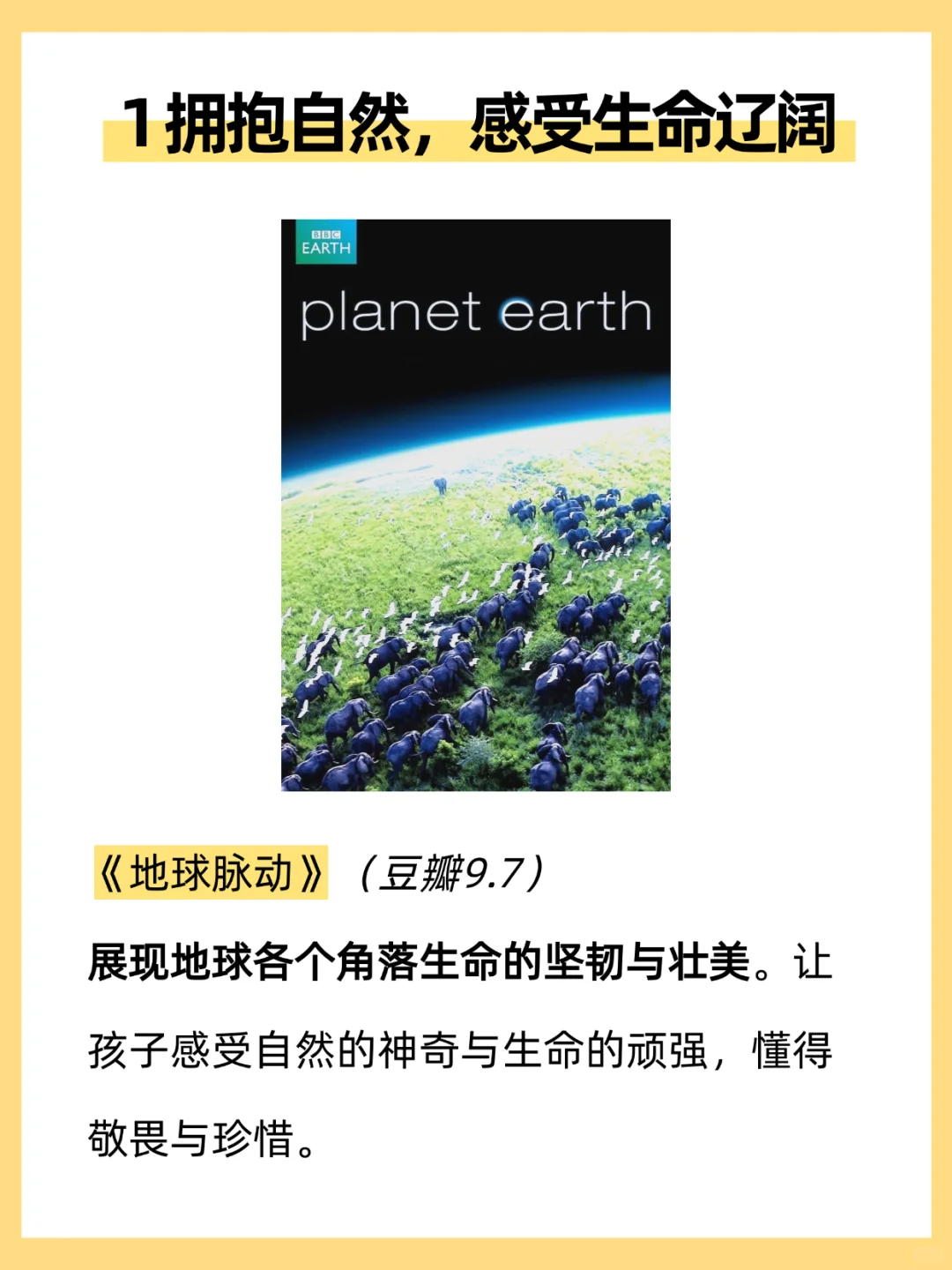 央妈力荐|暑假必看15部纪录片