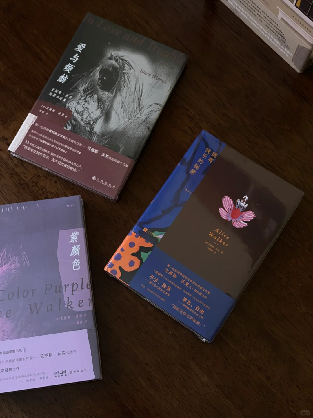 Women 我们的书写盛宴，十二本。📚