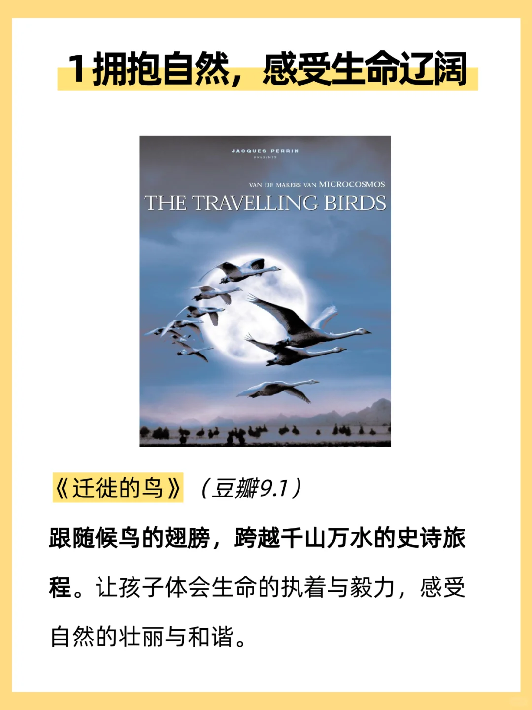 央妈力荐|暑假必看15部纪录片