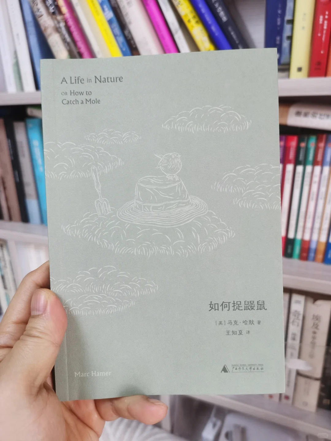分享书单｜10本新书，5本推荐