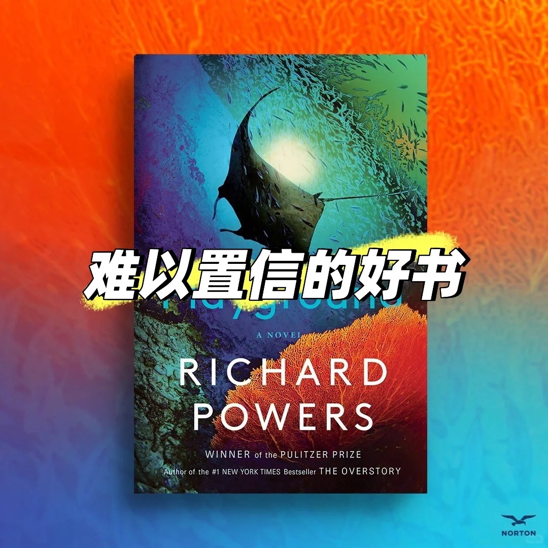 这本书 拿奖拿到手软 年度之最