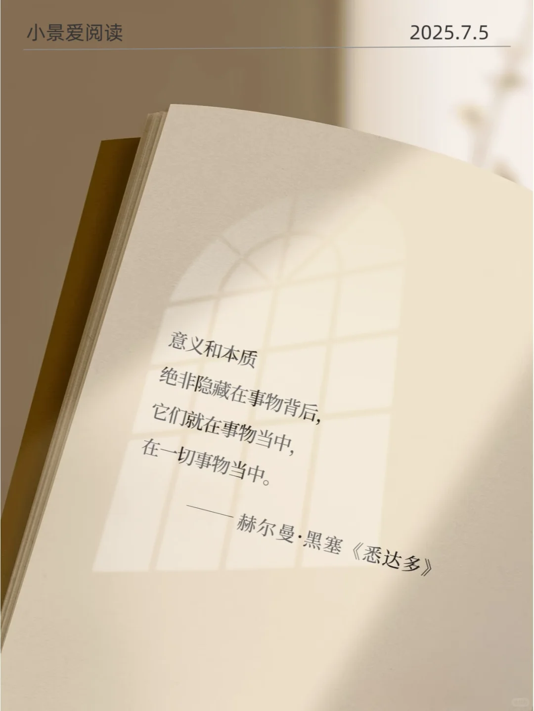 《悉达多》直击内心|对我的影响太大了