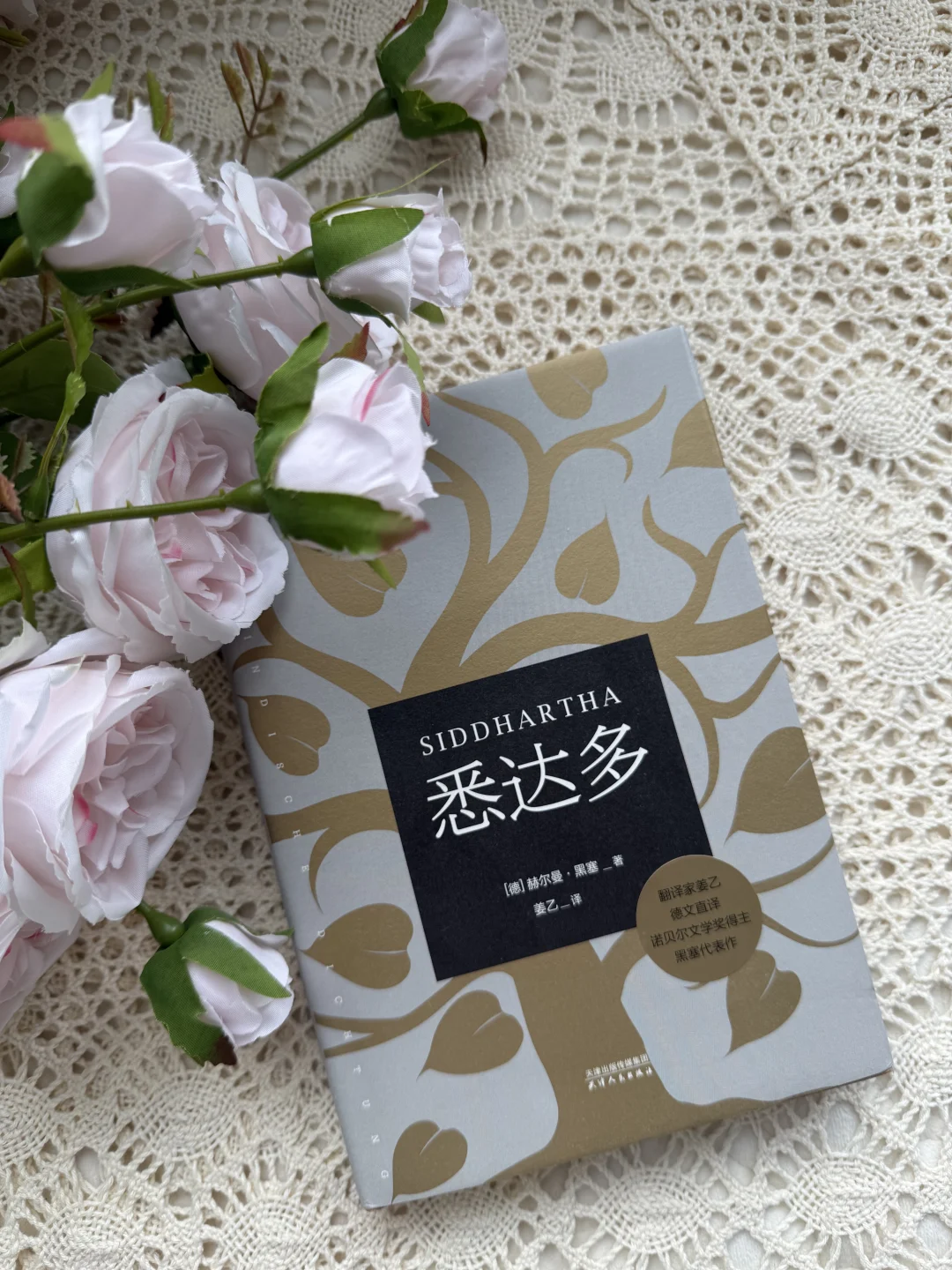 《悉达多》直击内心|对我的影响太大了
