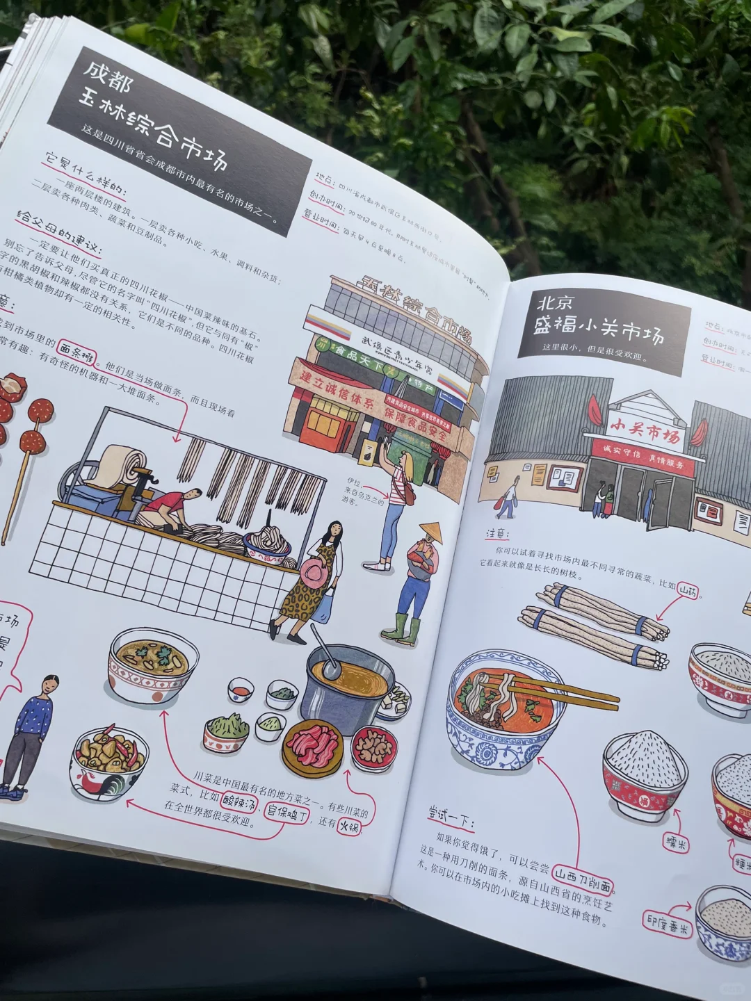 「每周一书」10 《24个菜市场的环球之旅》