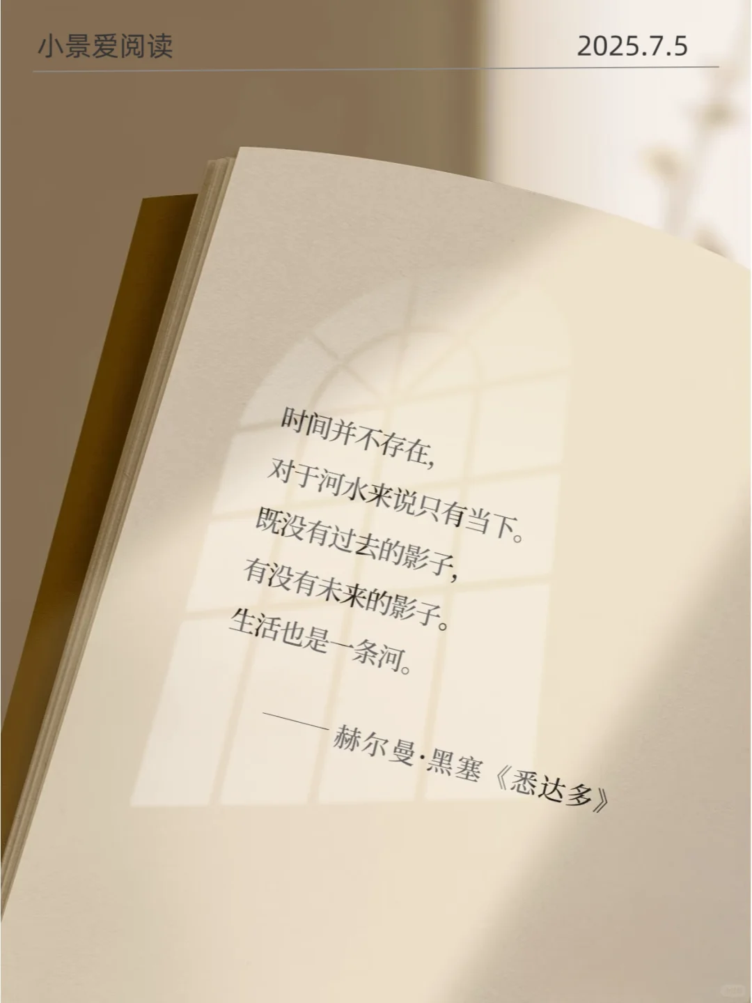 《悉达多》直击内心|对我的影响太大了