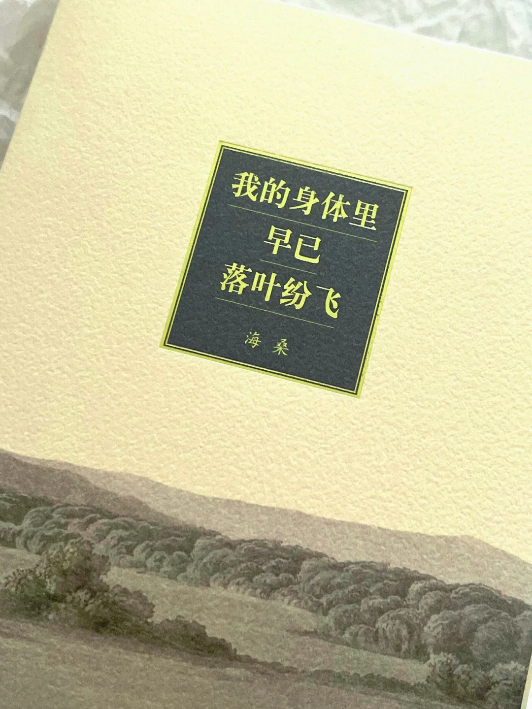 温暖到爆！好轻松治愈的一本小书啊🍃